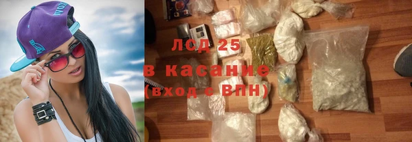 индика Михайловск