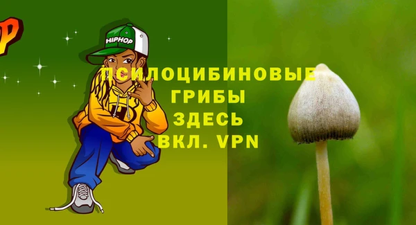 индика Михайловск