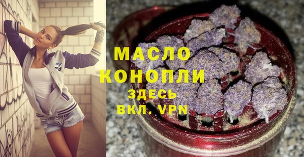 индика Михайловск
