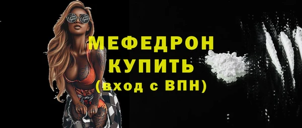 индика Михайловск