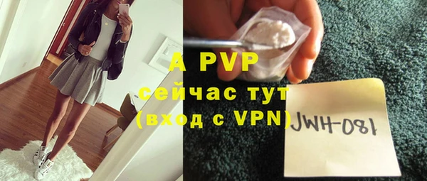 индика Михайловск