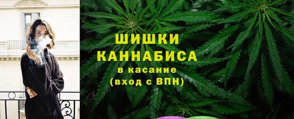 индика Михайловск