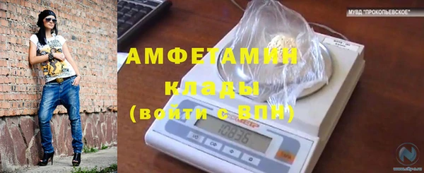 индика Михайловск