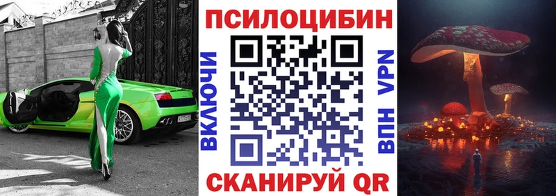 Галлюциногенные грибы Psilocybine cubensis  где купить наркотик  Ясногорск 